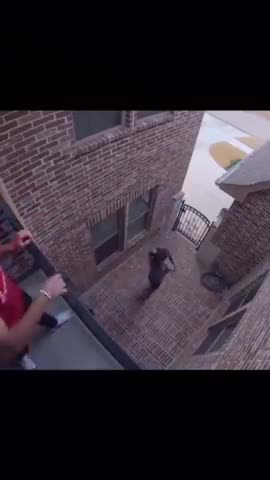 Khaby Lame Tiktok Clips 2021-Best Moments_React Of Khaby Lame To Make You Laugh in 2021 P.3 #shorts