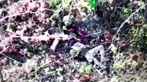 A Ukrainian soldier attempting to save his wounded comrade was killed by a drone explosion. Donetsk