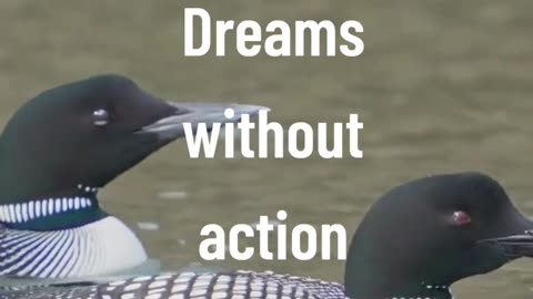 Dreams without action