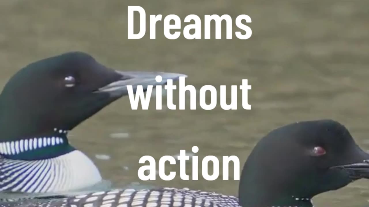 Dreams without action