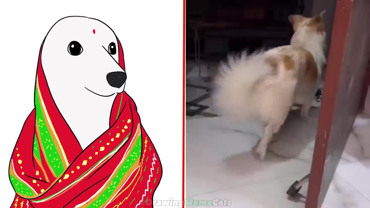 πCat Memes: Skibidi Toilet Cat and Funniest Dogs (updated) π
Trending Funny Animals πΉ