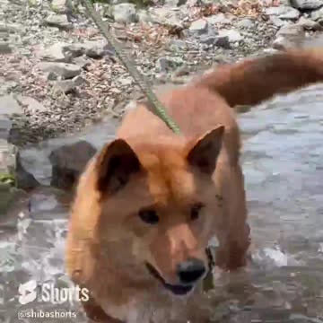 It All Happened on a Saturday Night