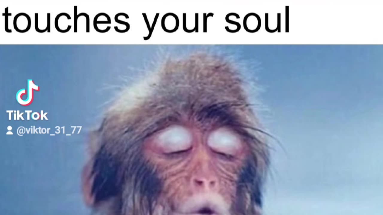 After the First Sip of Coffee