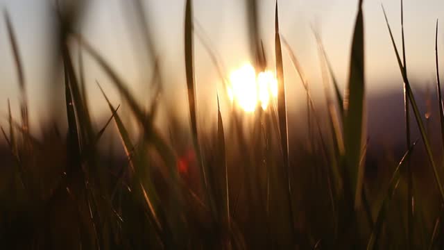 Nature with sunset