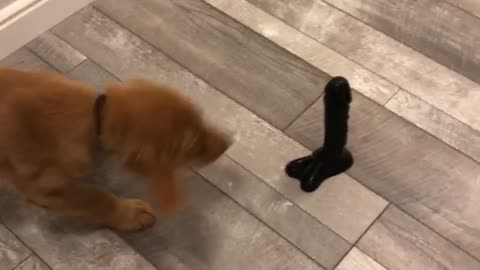 First time you see the D