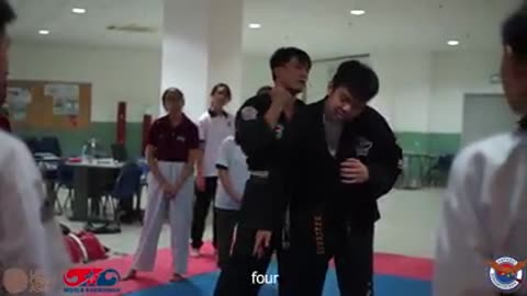 Hapkido