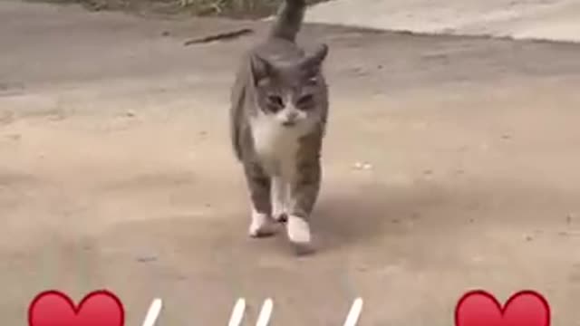 Here Comes The Boy. Hello Boy. (Original)