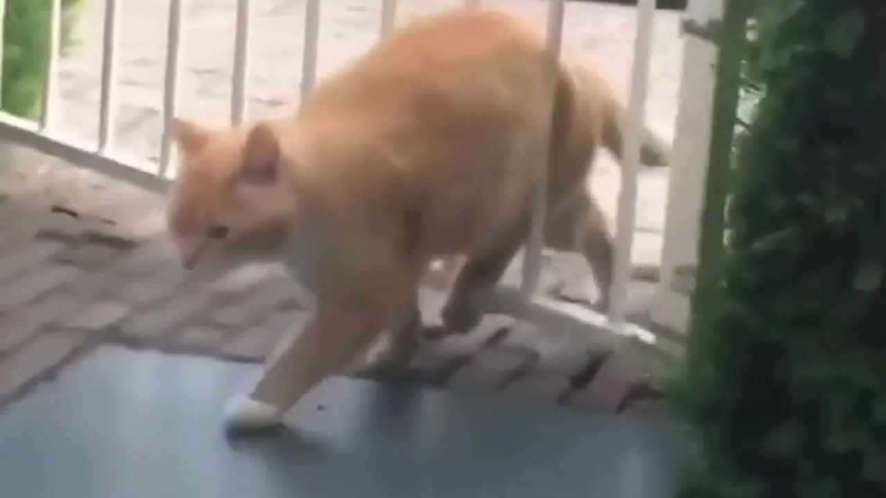 Time to go on a diet