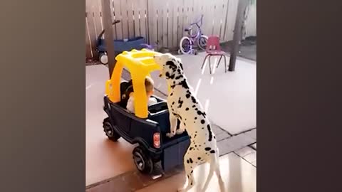 Baby's Funny Reactions To New Toys