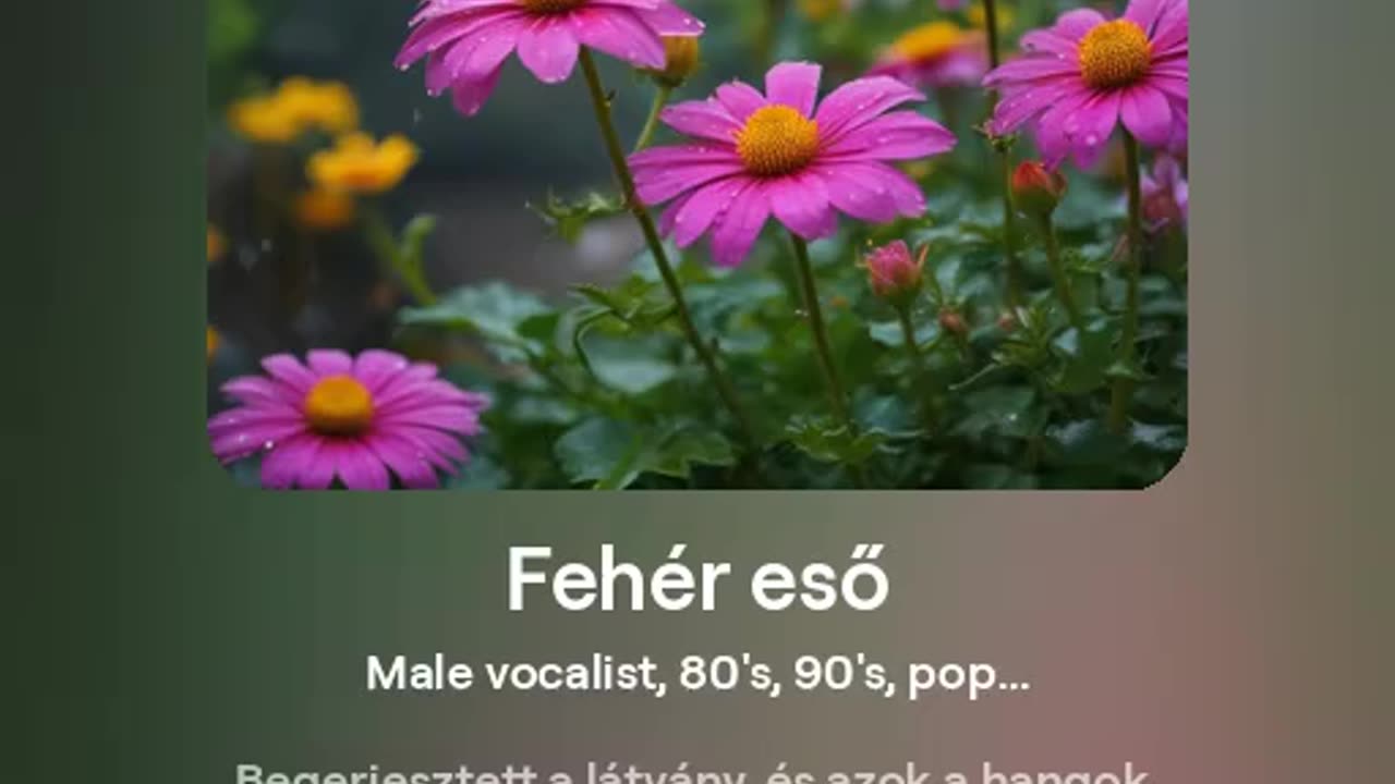 Fehér eső - AI-generált pop vicces szöveggel