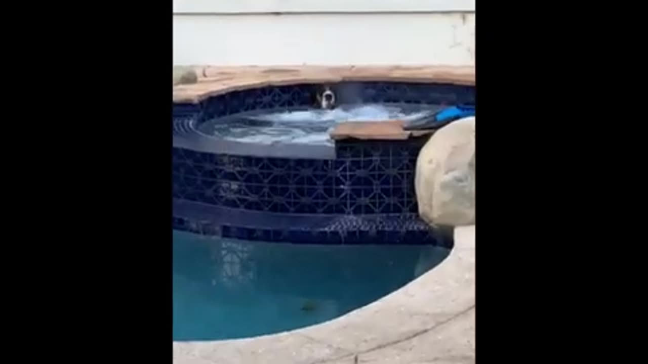 best funny video for you