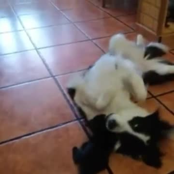 Making friends for life.. 😅