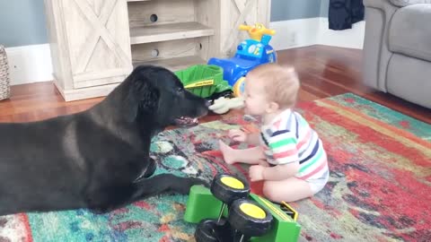 Lovely dogs🐕🐕 playing with that baby👼👼 compilation # 2021 Baby and Pet's video.