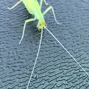 He wanted just a drop of water...or did he?