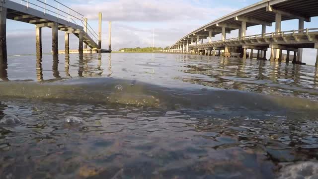 SUNRISE SUNDAY PADDLE