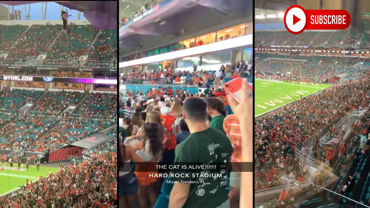 The terrifying moment a cat survives a fall at the Hard Rock Stadium gets saved by U.S Flag