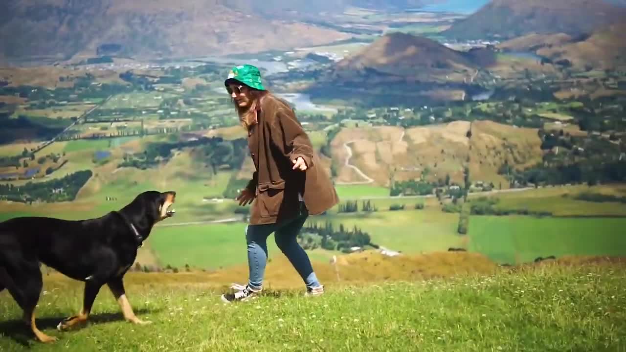 Try Not To Laugh Watching Funny Animals Compilation Funniest Animals Vines