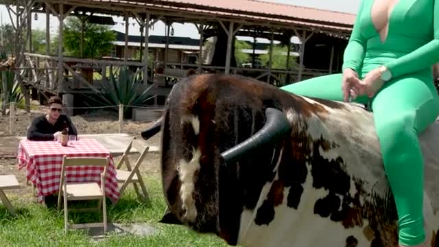 The Model mounted on the Bull was
