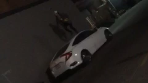 White backwards hat walks over white roof of car and falls