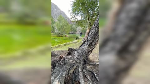 Satrangi Lake Naltar valley