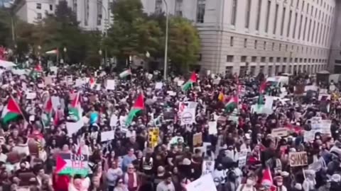 Free Palestine 🇵🇸 free Gaza