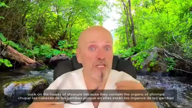 EN/ES Doctor warns of 5 unknown risks of eating insects (ENTOMOPHAGIA) FOR HUMAN HEALTH