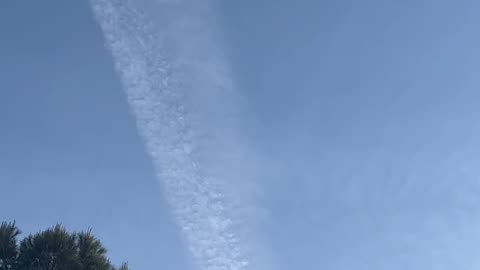 Roma Questo pomeriggio
