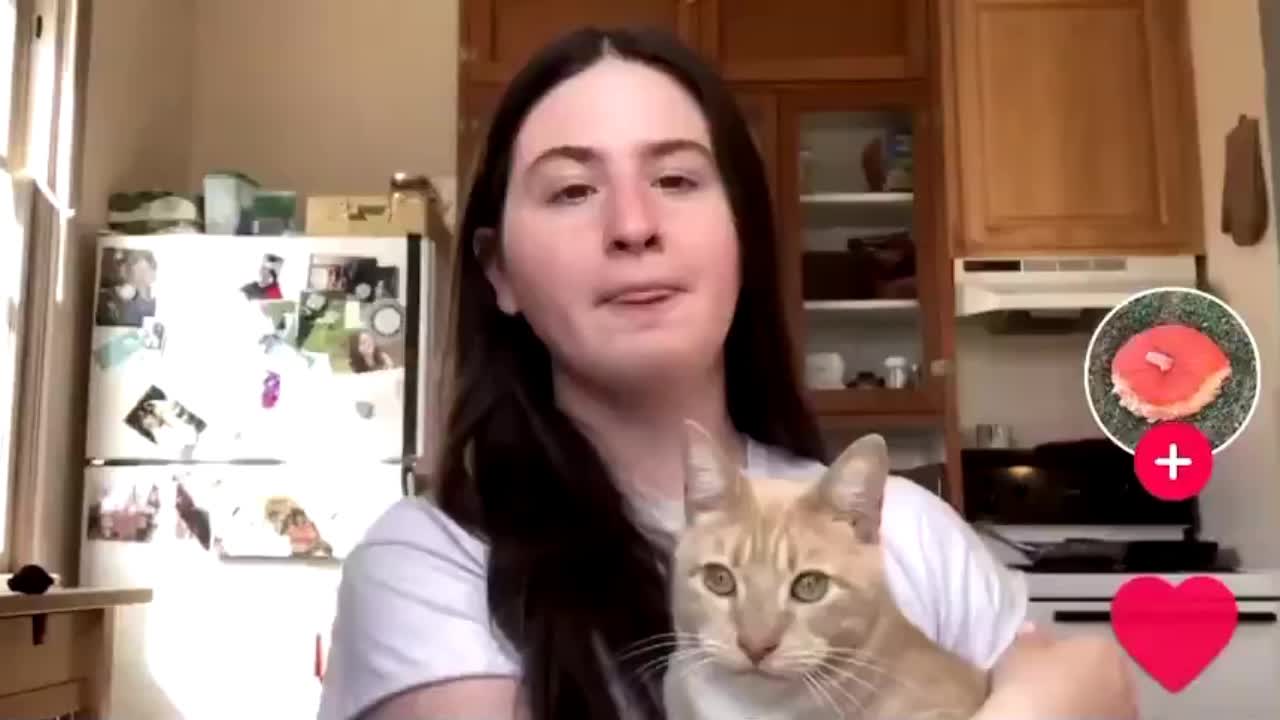 Girl Gets Smacked By Cat While Declaring Her Pronouns