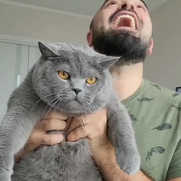 Catty cat 😆😼🐈‍⬛🔫