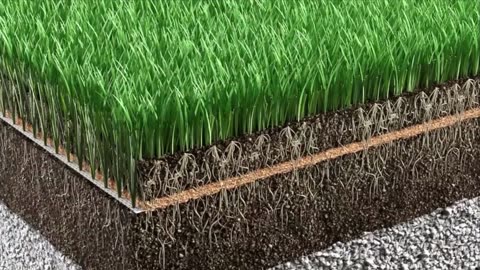 American Hybrid Turf