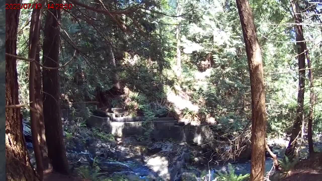 Salmon Hatchery Bowen Island BC with Artist Karen Colville