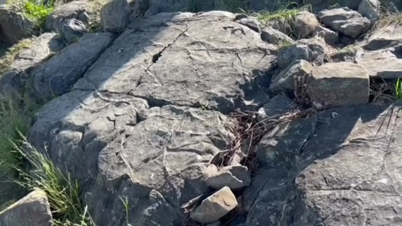 The Stockton Rock