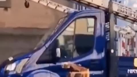 Best Funny Animal Videos 2023 - Funniest Cats And Dogs Video