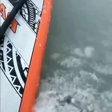 Snow ❄ swimming 🏊‍♂️