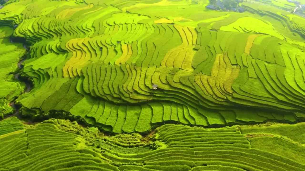 Mu Cang Chai's Natural Wonders: Exploring Vietnam's Breathtaking Landscapes