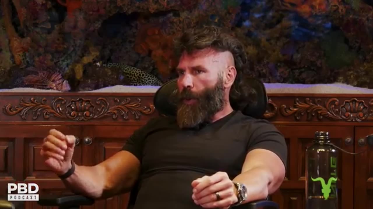 Pursuing vs being pursued - Dan Dan Bilzerian