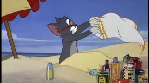 Tom & jerry The cat and the mermouse