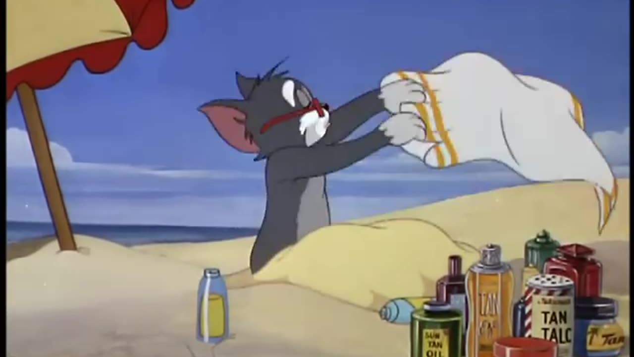 Tom & jerry The cat and the mermouse