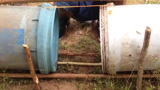 Amazing Quick Rabbit Trap Using Buckets