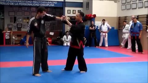 Hanminjok Hapkido