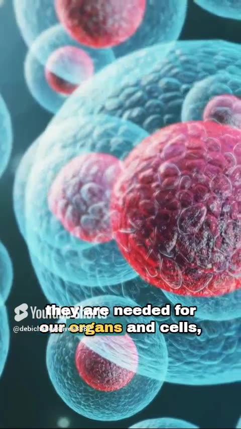 𝗪𝗵𝗮𝘁 𝗜𝘀 𝗢𝗺𝗲𝗴𝗮 𝟯'𝘀 𝗣𝗼𝘄𝗲𝗿𝗳𝘂𝗹 𝗜𝗺𝗽𝗮𝗰𝘁? 🤩 - There's Many Benefits