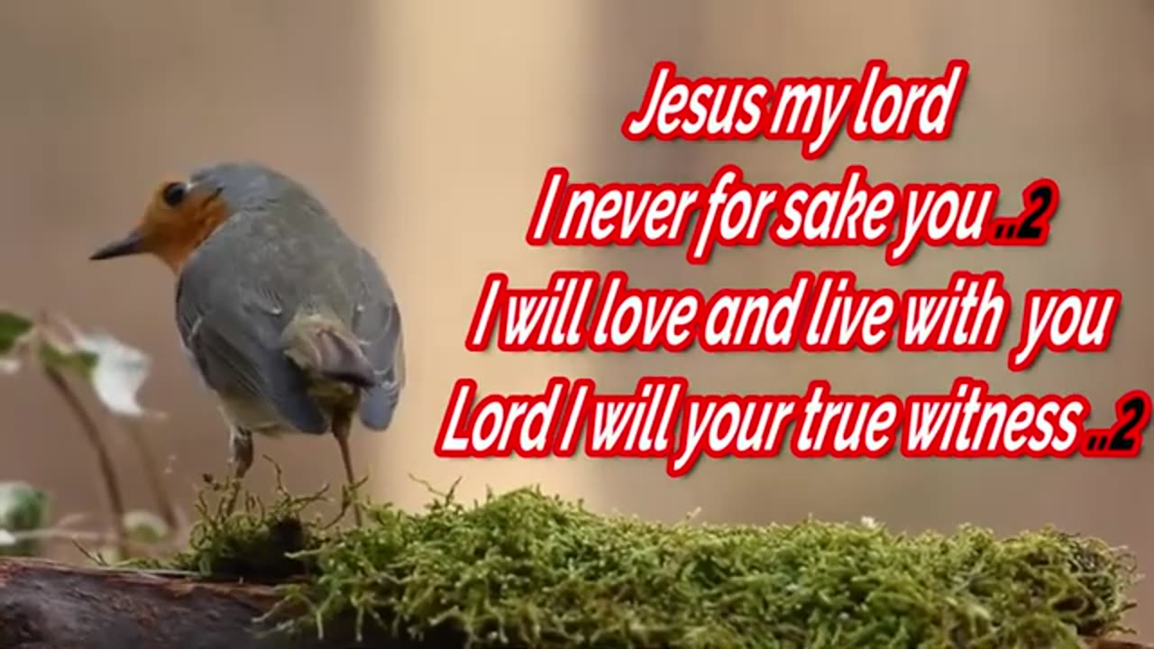 Jesus Loves me with everlasting love with lyrics ( English worship lyrics new song) #daniyel #song