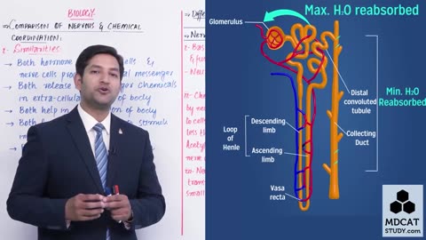 LEC#29 COMPARISON OF NERVOUS AND CHEMICAL COORDINATION