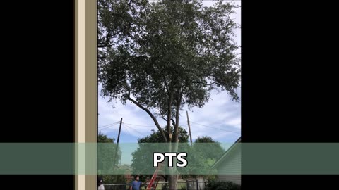 PTS
