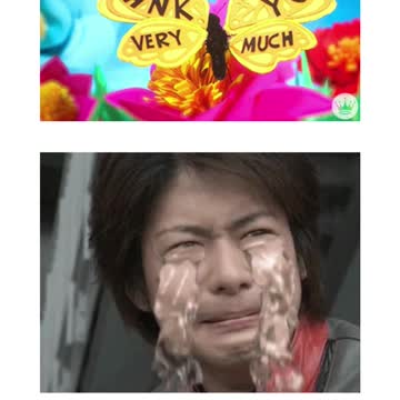 mensagem de agradecimento