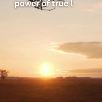 Endless Love: Guy, My Soulmate