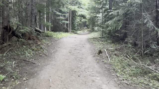 Tilly Jane Trailhead – Mount Hood – Oregon – 4K