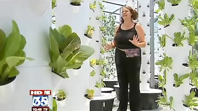 Tower Garden® Farm at The GreenHouse, Central Florida