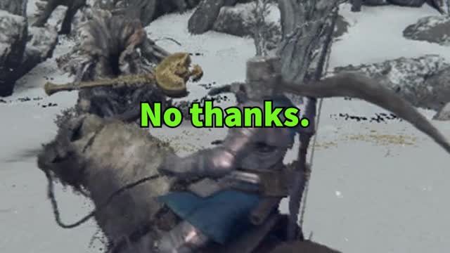 When You Encounter an Erdtree Avatar