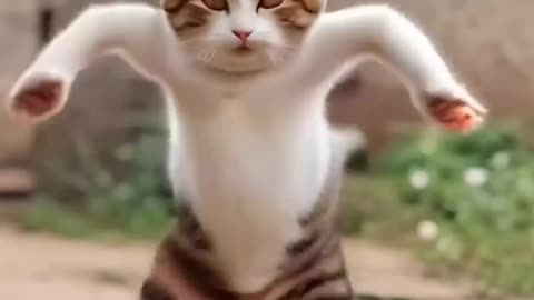 Baby cats-cute and funny cat video compilation #21 | aww animals